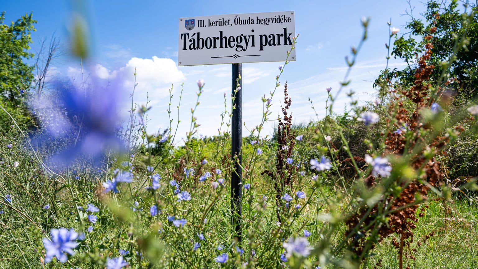 Táborhegyi park - hivatalos elnevezés