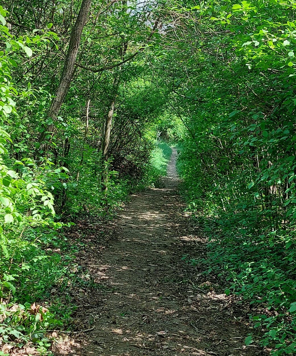 Táborhegyi park